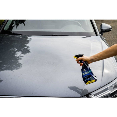 MICHELIN NETTOYANT SANS EAU