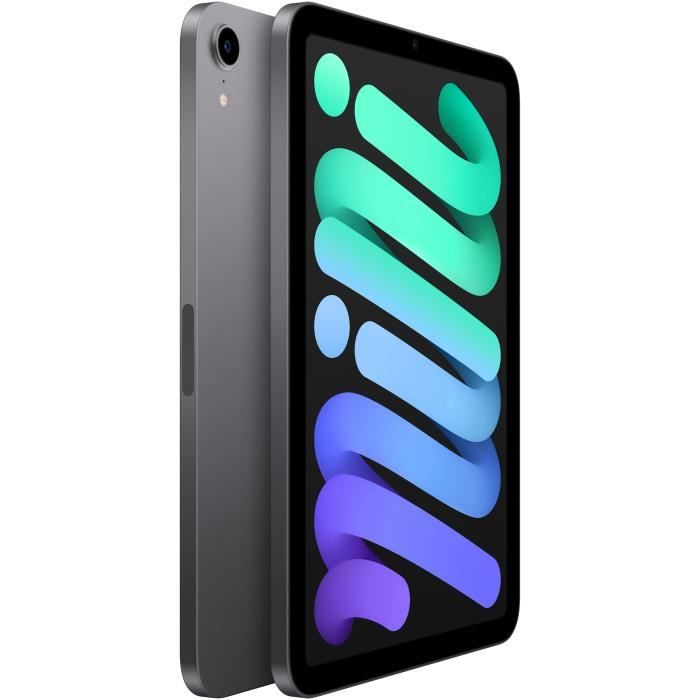 Apple - iPad mini (2021) - 8,3 WiFi - 256 Go - Gris SidÈral
