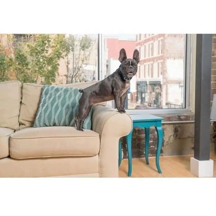 Collier anti aboiement pour Chien - PetSafe - Stimulation Eléctrostatique Progressive (6 Niveaux)