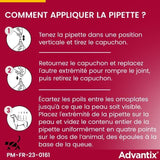 ADVANTIX Chien Solution Antiparasitaire Race Moyenne 10 a 25kg 4 pipettes