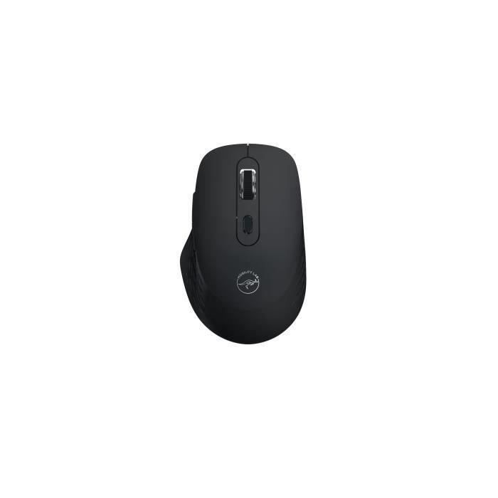 Souris sans fil - MOBILITY LAB - Omega - Bluetooth et récepteur 2,4GHz - Noir - Clics silencieux - Précision réglable