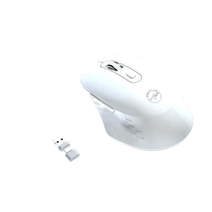 Souris sans fil - MOBILITY LAB - Omega - Bluetooth et récepteur 2,4GHz - Blanc - Clics silencieux - Précision réglable