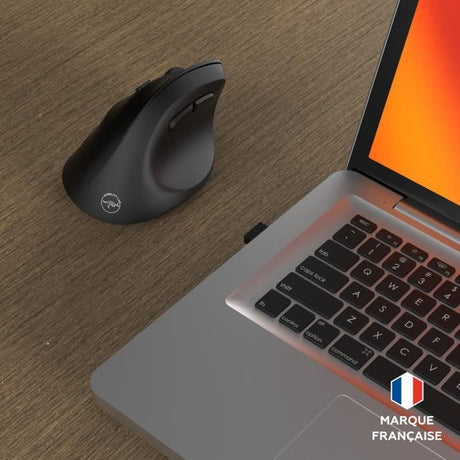 Souris sans fil - 2x Bluetooth + récepteur USB 2,4GHz - MOBILITY LAB - M30W-L - Ergonomique - Pour gaucher - Noir