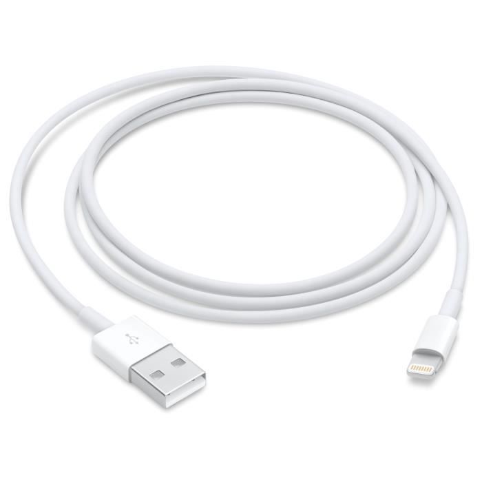 Câble Lightning vers USB - APPLE - 1 m