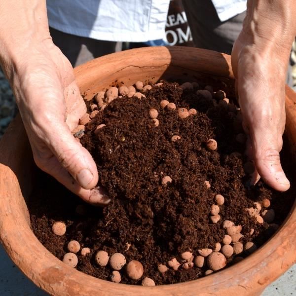 NATUREN Billes d'Argile - 40L - NATUREN
