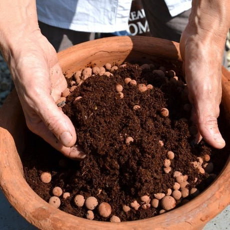 NATUREN Billes d'Argile - 40L - NATUREN