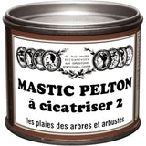 Mastic - PELTON - Cica20 - 195 g - Cicatrise
