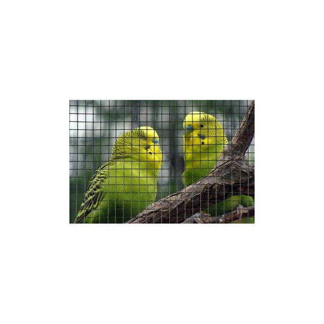 Grillage carré - NATURE - 0,5 x 3 m - Ep. 6,4 mm - Vert