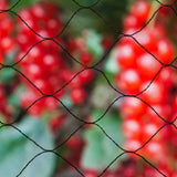 Filet anti-oiseaux NATURE Primo 10 x 10 m Noir - Mailles 28mm - Polyéthylene 12gr/m²
