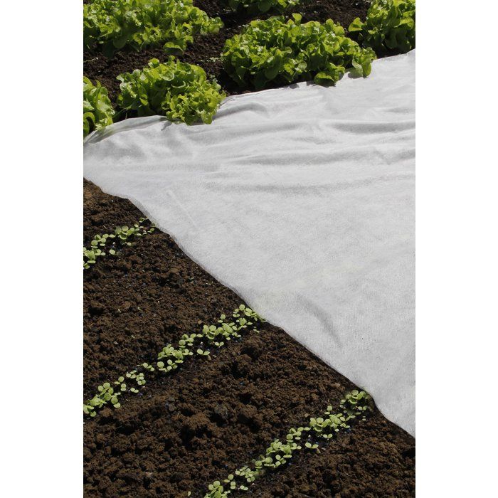Voile forçage - NATURE - 17g/m² - 2 x 5 m - Blanc