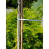 Collier de tuteurage - NATURE - 15 cm - Lot de 25 - Transparent