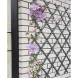 Treillis extensible - NATURE - En plastique Anthracite - 50 x 150 cm