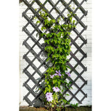 Treillis extensible - NATURE - Bois - 150 x 50 cm - Anthracite - Avec set de fixation