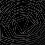 Canisse PVC double face - NATURE - 1 x 3 m - 1600 g/m² - Occultant 4/5 - Anti-UV - Anthracite