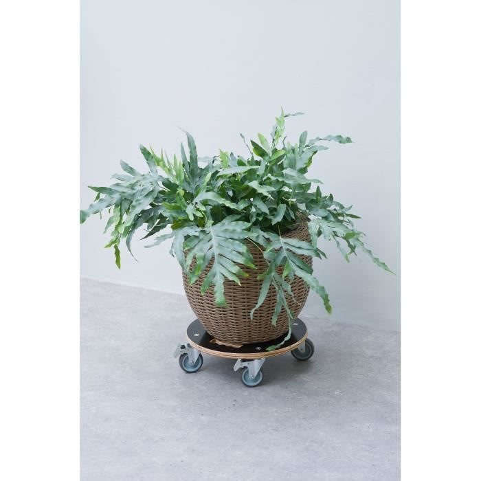 Support de pot roulant carré - NATURE - Bois FSC - Charge max 250 kg - Roues multidirectionnelles