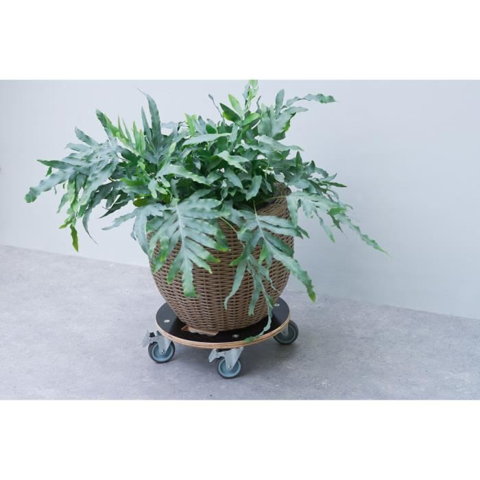 Support de pot roulant carré - NATURE - Bois FSC - Charge max 250 kg - Roues multidirectionnelles