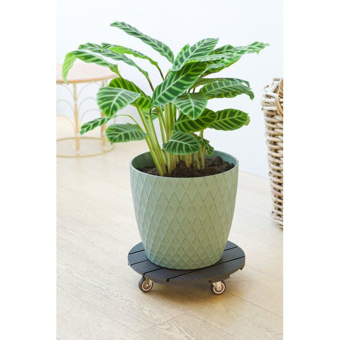 Support de pot à roulettes - NATURE - WPC - H8,6 x Ø38 cm - 4 roulettes - Anthracite