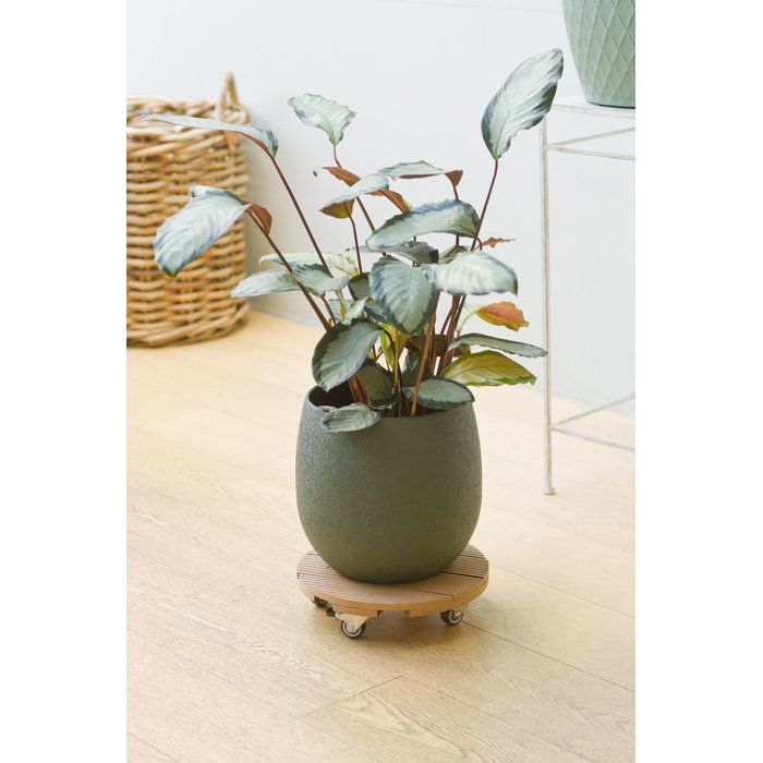 Support de pot à roulettes - NATURE - WPC H7,5 x Ø30 cm - 4 roulettes - Bois