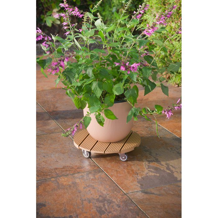 Support de pot à roulettes - NATURE - WPC - H8,6 x Ø38 cm - 4 roulettes - Bois