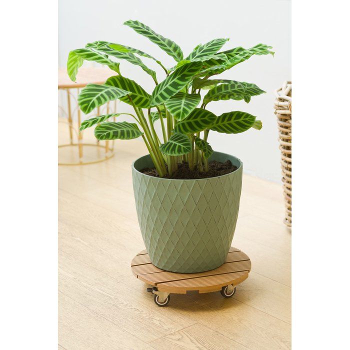 Support de pot à roulettes - NATURE - WPC - H8,6 x Ø38 cm - 4 roulettes - Bois