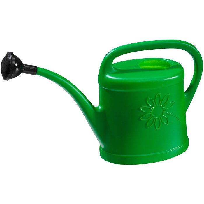Arrosoir - NATURE - 3 L - Pomme d'arrosage - Vert