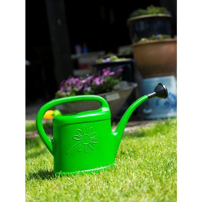 Arrosoir - NATURE - 3 L - Pomme d'arrosage - Vert