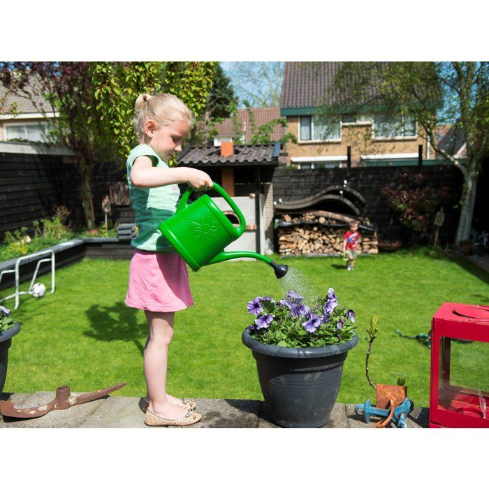 Arrosoir - NATURE - 3 L - Pomme d'arrosage - Vert