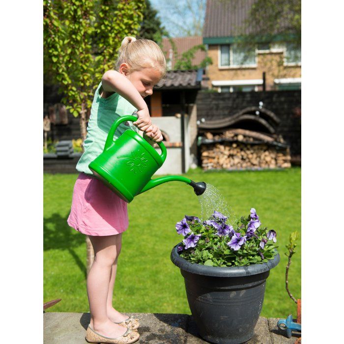 Arrosoir - NATURE - 3 L - Pomme d'arrosage - Vert