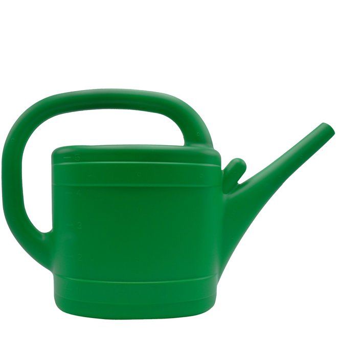 Arrosoir - NATURE - 5 L - Pomme d'arrosage - Vert