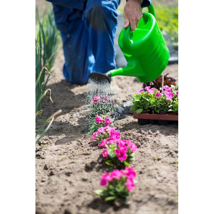 Arrosoir - NATURE - 10 L - Pomme d'arrosage - Vert
