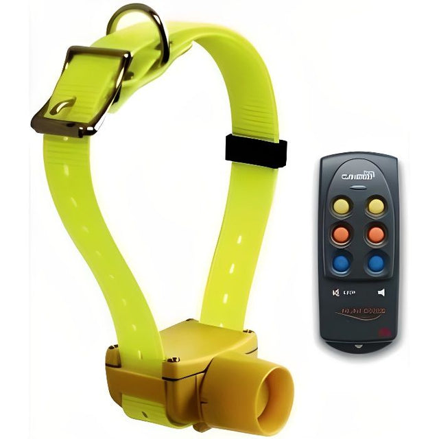 Collier repérage sonore radio-commandé CANIBEEP Pro.