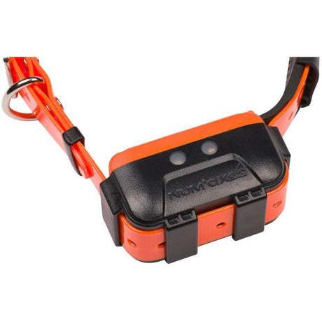 Collier GPS - NUM'AXES - CANICOM GPS 2 - Collier seul - Noir / Orange