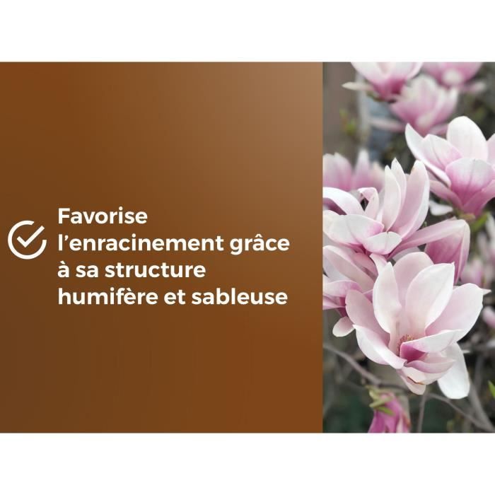 Terreau spécial plantes de bruyere - OR BRUN - OBRTBRU6U - 6L - Meilleur enracinement