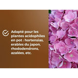 Terreau spécial plantes de bruyere - OR BRUN - OBRTBRU6U - 6L - Meilleur enracinement