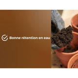 Terreau rempotage universel - OR BRUN - OBRTREM6U - 6L - Améliore la croissance