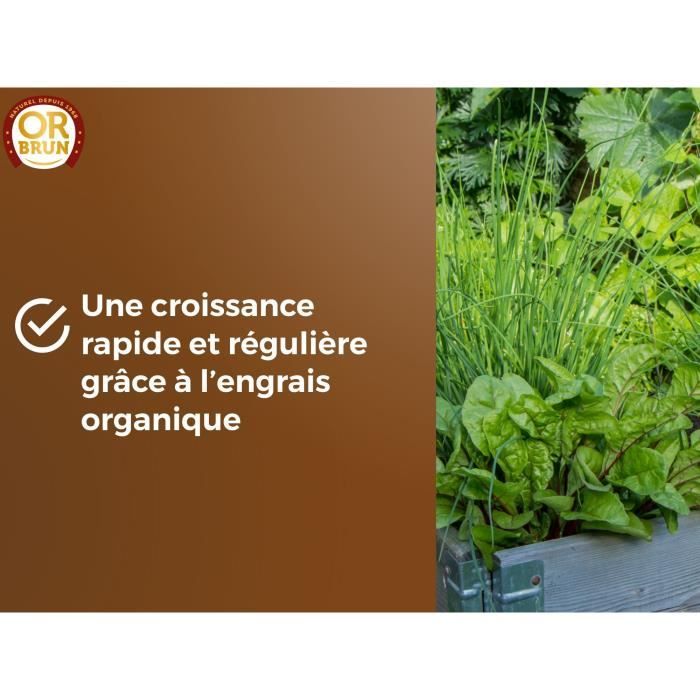 Terreau potager & Plantes aromatiques - OR BRUN - OBRTARO6U - 6L - Croissance rapide