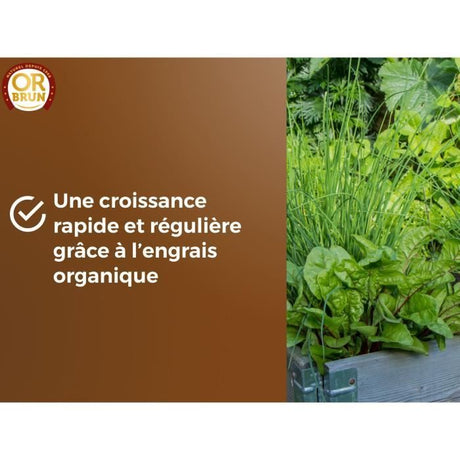 Terreau potager & Plantes aromatiques - OR BRUN - OBRTARO6U - 6L - Croissance rapide