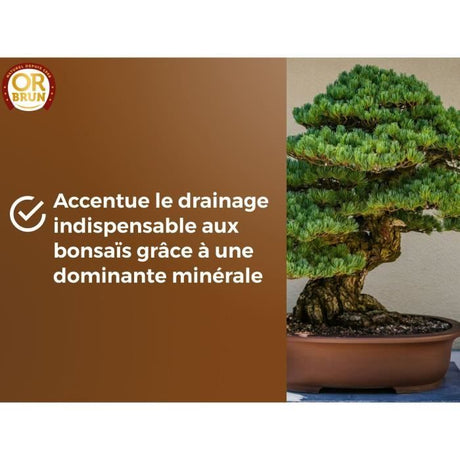 Terreau bonsais - OR BRUN - OBRTBON6U - 6L - Meilleur enracinement