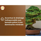 Terreau bonsais - OR BRUN - OBRTBON6U - 6L - Meilleur enracinement