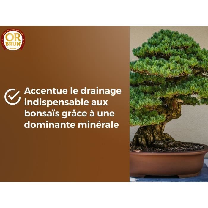Terreau bonsais - OR BRUN - OBRTBON6U - 6L - Meilleur enracinement