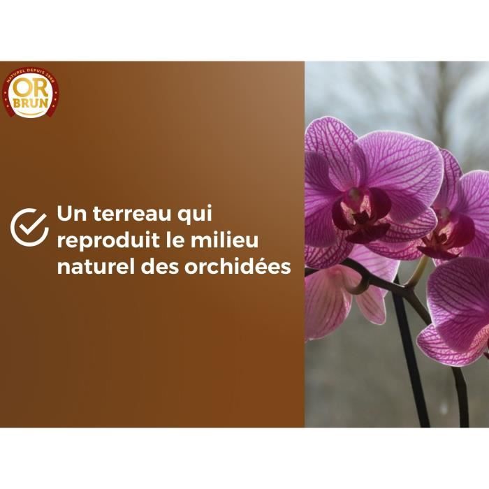 Terreau orchidées - OR BRUN - OBRTORC6U - 6L - Favorise la croissance