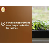 Terreau Semis - OR BRUN - OBRTSEM6U - 6L - Améliore le Drainage - Rétention d'Eau Optimale