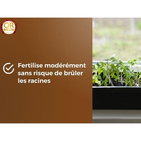 Terreau Semis - OR BRUN - OBRTSEM6U - 6L - Améliore le Drainage - Rétention d'Eau Optimale