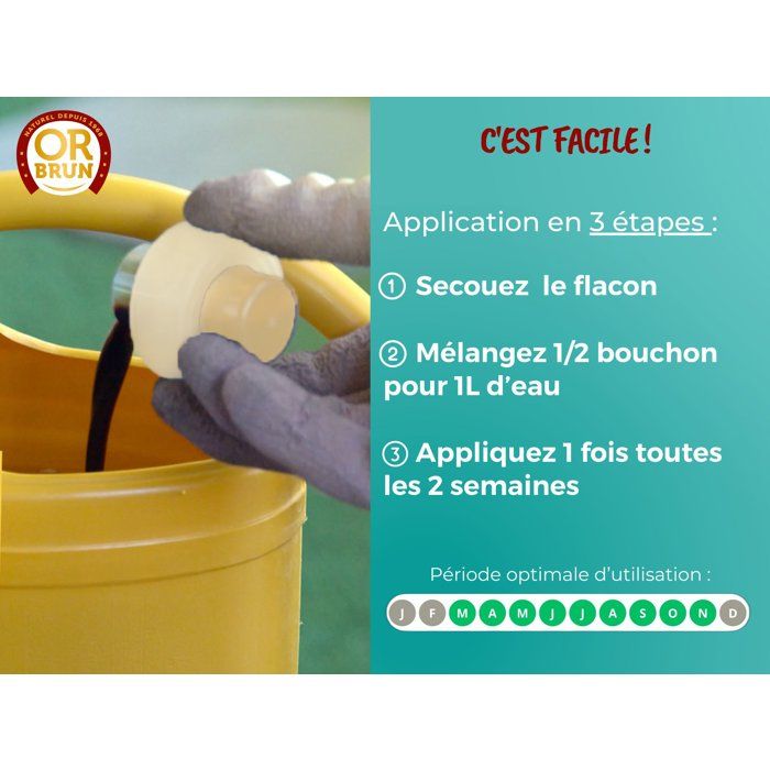Engrais plantes vertes - OR BRUN - OBRECLPLINTER250 - 250 ml - Favorise la croissance - Fabriqué en France