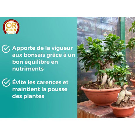 Engrais bonsais - OR BRUN - OBRECLBONSAI250 - 250 ml - Améliore et favorise la croissance - Fabriqué en France