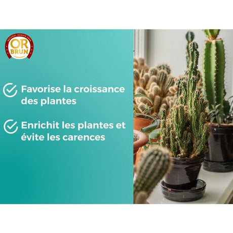 Engrais cactus & plantes grasses - OR BRUN - OBRECLCACTUS250 - 250 ml - Enrichit les plantes - Fabriqué en France