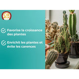 Engrais cactus & plantes grasses - OR BRUN - OBRECLCACTUS250 - 250 ml - Enrichit les plantes - Fabriqué en France