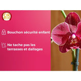 OR BRUN Engrais orchidées - 250ml - Améliore & favorise la croissance - Fabriqué en France OBRECLORCH250