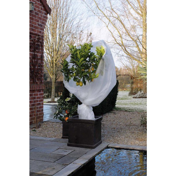 Voile d'hivernage - NATURE - 5 x 2 m - Blanc - 30 g/m²
