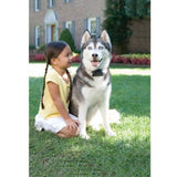 PetSafe - Systeme de Clôture Anti-Fugue pour Chien avec 150 metres de fil - 5 niveaux réglables de stimulation statique